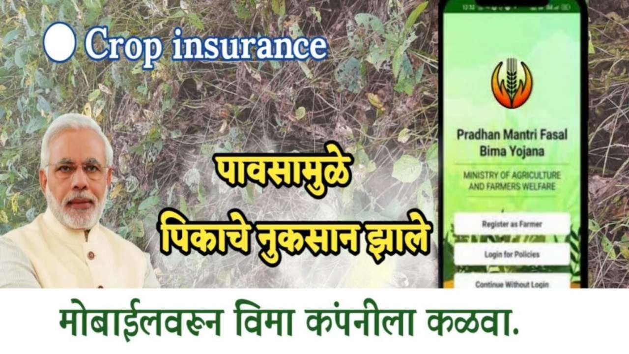 Crop Insurance information